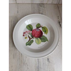Vintage portmeirion hoary morning Apple dinner‎ plate